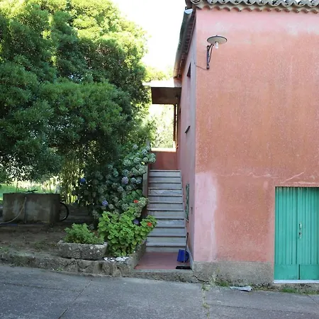 Vakantiehuis Casa Vacanze Soveri, In Un Parco Di Ulivi, Palme, Castagni Secolari. Borgia