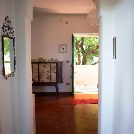 Casa Vacanze Soveri, In Un Parco Di Ulivi, Palme, Castagni Secolari. Vakantiehuis