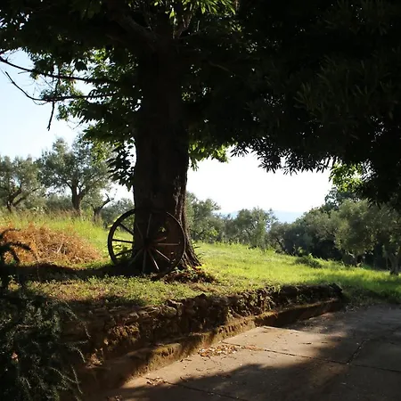 Casa Vacanze Soveri, In Un Parco Di Ulivi, Palme, Castagni Secolari. *