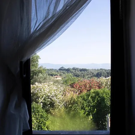 Casa Vacanze Soveri, In Un Parco Di Ulivi, Palme, Castagni Secolari. Vakantiehuis