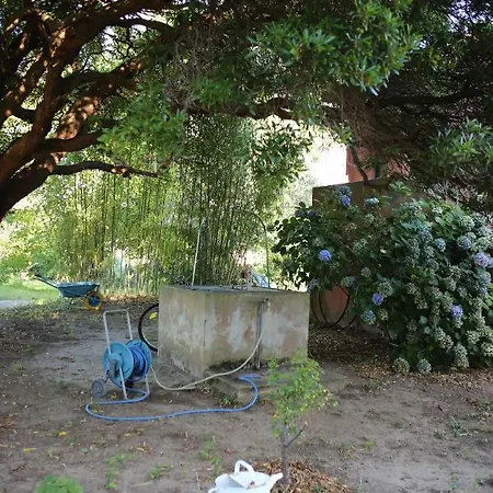 Casa Vacanze Soveri, In Un Parco Di Ulivi, Palme, Castagni Secolari. * Borgia