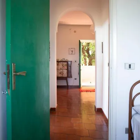 Casa Vacanze Soveri, In Un Parco Di Ulivi, Palme, Castagni Secolari. *
